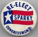 Sparky Matsunaga, Hawaii 