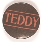 Theodore Roosevelt Teddy