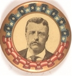 Roosevelt Different Stars and Stripes