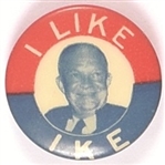 I Like Ike Blue Photo