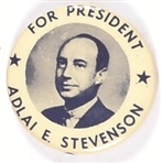 Stevenson for President 2 Stars Pin