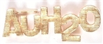 Goldwater AuH20 Lapel Pin