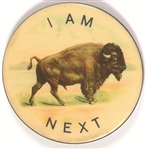 Buffalo I Am Next