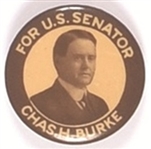 Charles Burke for Senator, South Dakota
