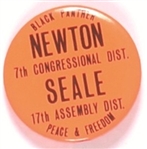 Newton and Seale Black Panther Party