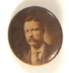 Roosevelt Sepia Stickpin
