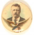 Roosevelt Eagle and Shield