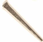Theodore Roosevelt Nail
