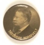Roosevelt Profile Pin