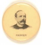 Parker Unusual Celluloid