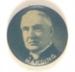 Harding Blue Celluloid