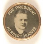 Hoover Celluloid Stud