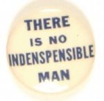 Willkie No Indispensible Man