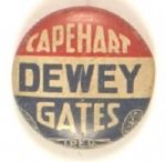Dewey Indiana Coattail