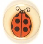 The Watergate Bug