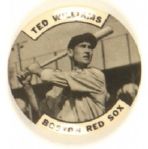 Ted Williams, Boston Red Sox