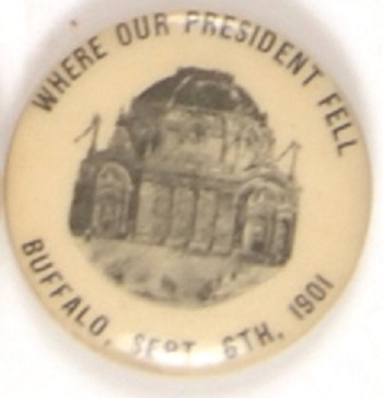 Buffalo "Where Our President Fell" McKinley Assassination Site