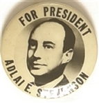 Stevenson for President Sharp Photo