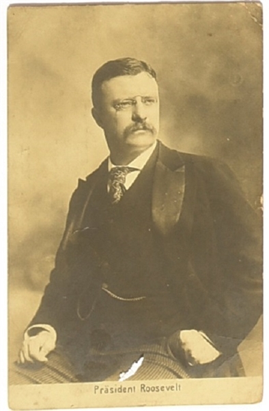 Theodore Roosevelt Portrait Postcard