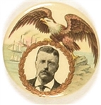 Theodore Roosevelt Eagle, Ships Pin