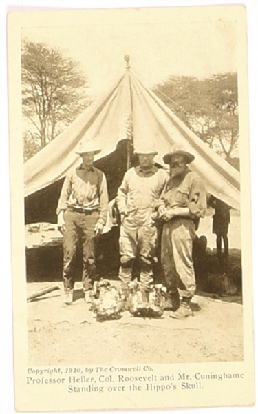 Theodore Roosevelt Safari Postcard