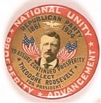 Theodore Roosevelt National Unity