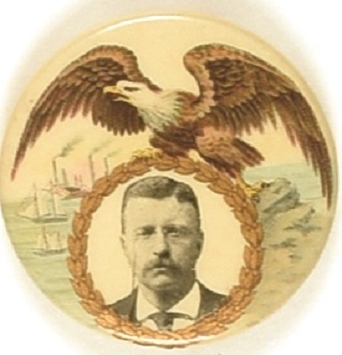Theodore Roosevelt Eagle and Ships