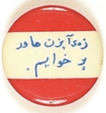 Eisenhower Foreign Language Pin
