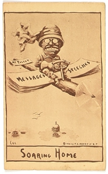 Theodore Roosevelt Soaring Home Postcard