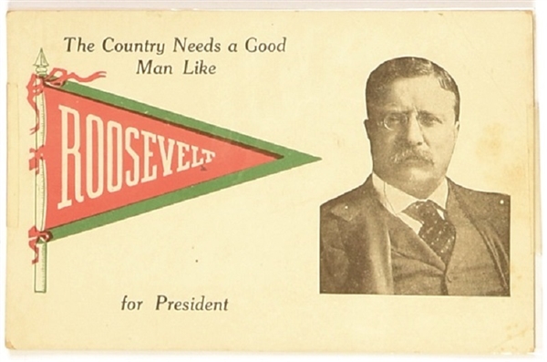 Country Needs a Man Like Roosevelt Postcard