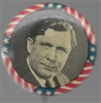 Willkie Stars and Stripes Celluloid