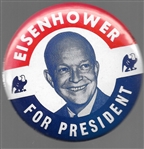 Eisenhower Eagles Pin