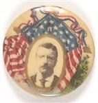 Theodore Roosevelt Beautiful Flag Celluloid