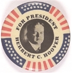 Hoover for President Stars, Stripes