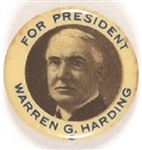 Warren Harding White Border Celluloid