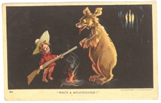 TR and the Bear Mollycoddle Postcard