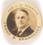 Brandegee for Senator, Connecticut