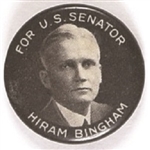 Bingham for Senator, Connecticut
