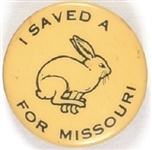 I Saved a Rabbit for Missouri
