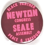 Newton, Seale Black Panthers California Pin