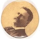 Roosevelt Baltimore Badge Celluloid