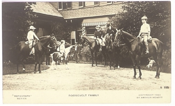 Roosevelts on Horseback Postcard
