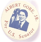 Al Gore Jr. for US Senate