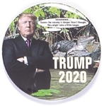 Trump Drain the Swamp