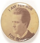 I am for Bob for Governor