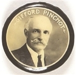 Gifford Pinchot, Pennsylvania