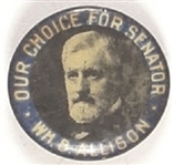 William Allison Our Choice for Senator