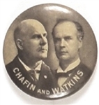 Chafin and Watkins Prohibition Jugate