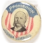 Levering Prohibition Party Pin