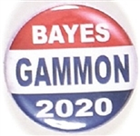 Bayes and Gammon 2020